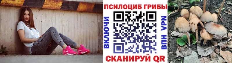 Галлюциногенные грибы GOLDEN TEACHER  Кисловодск 